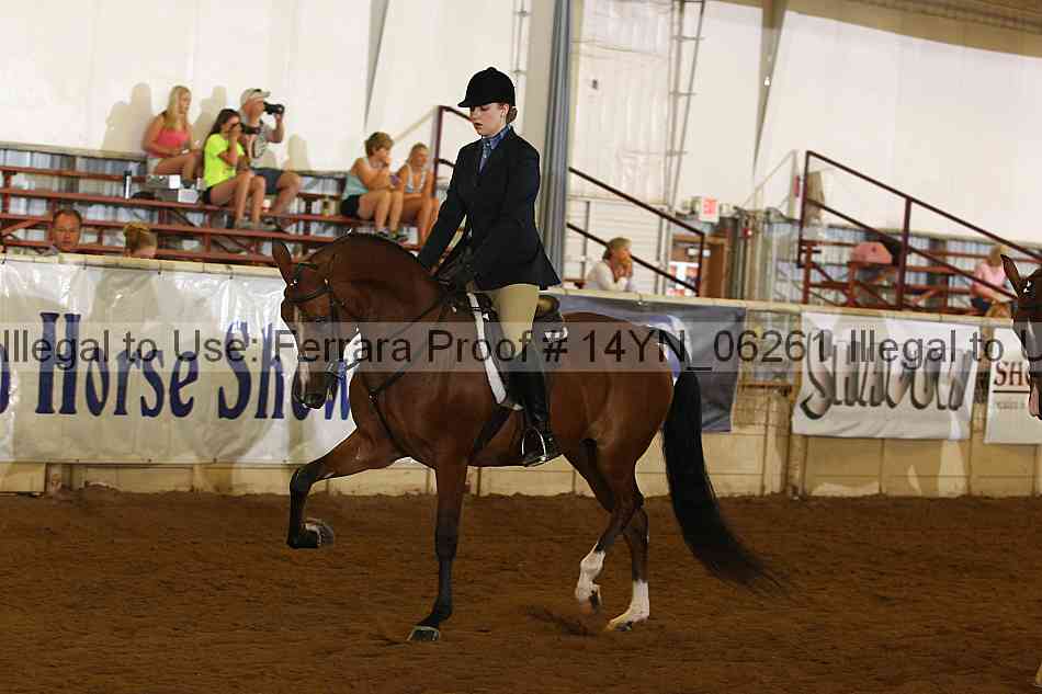 Proof 14yn_06261