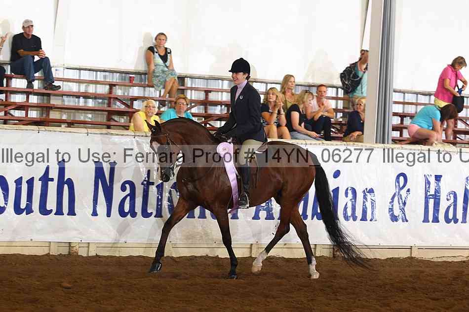 Proof 14yn_06277