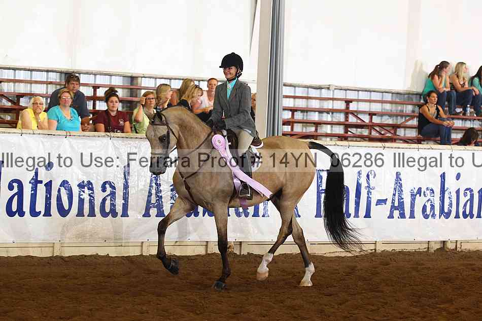 Proof 14yn_06286