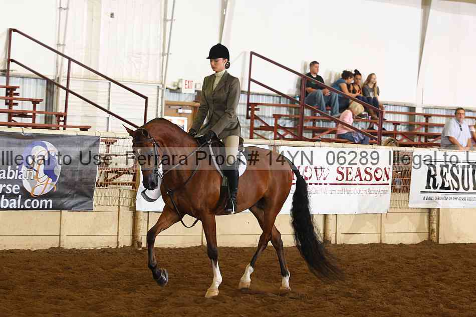 Proof 14yn_06289