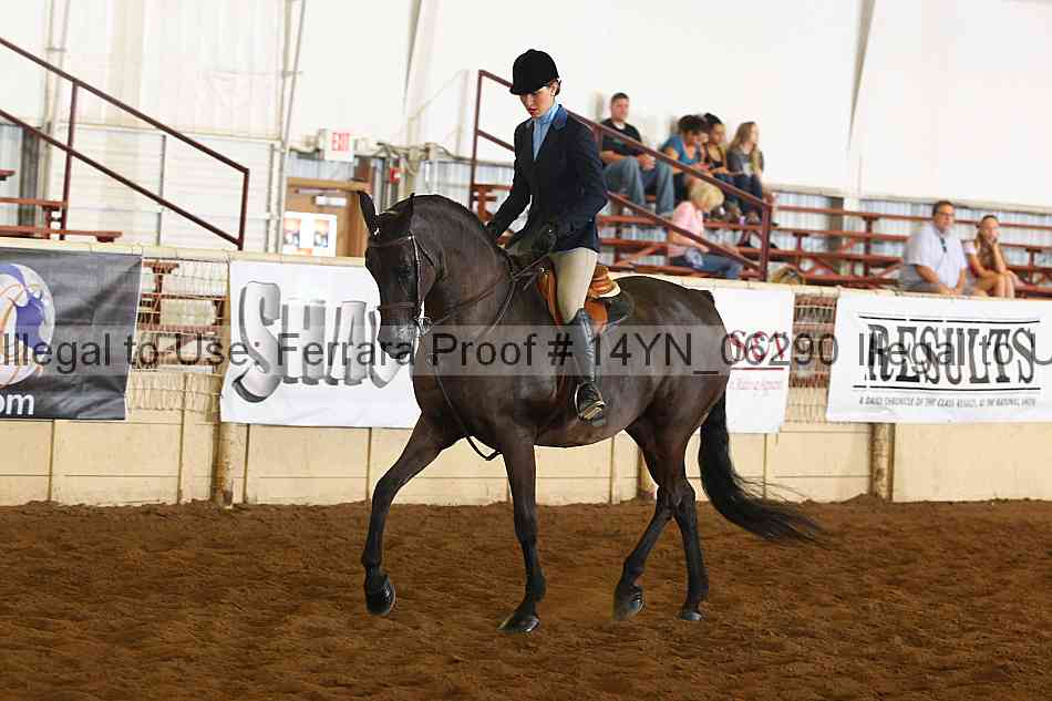 Proof 14yn_06290