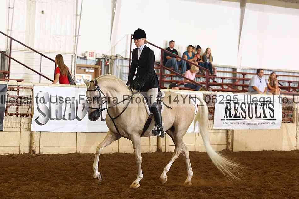 Proof 14yn_06295