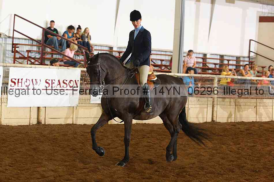 Proof 14yn_06296