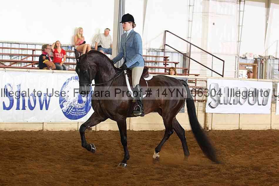 Proof 14yn_06304