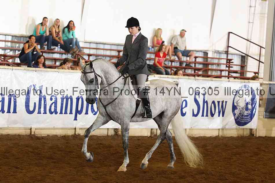 Proof 14yn_06305