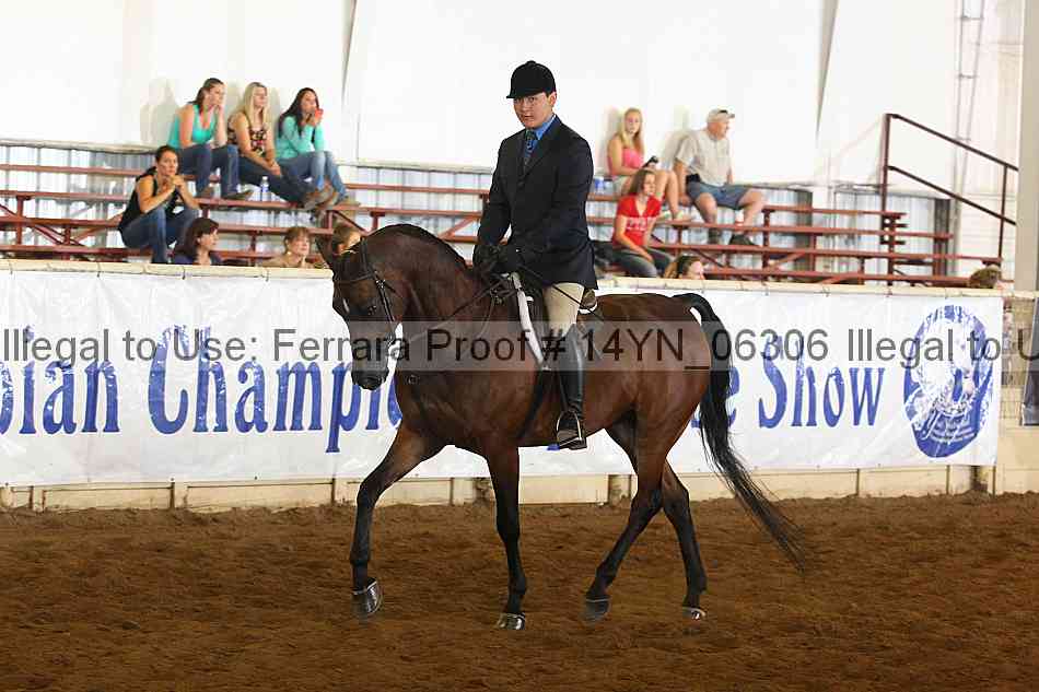 Proof 14yn_06306