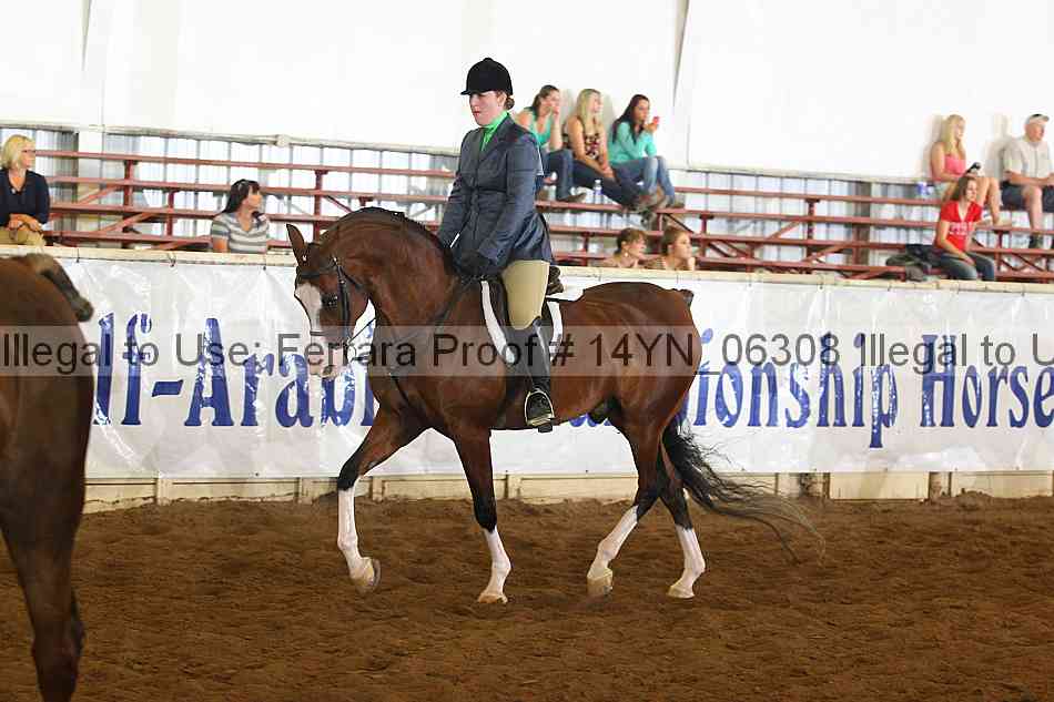 Proof 14yn_06308