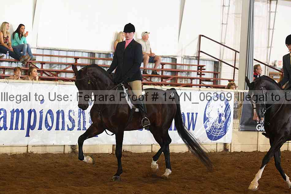Proof 14yn_06309