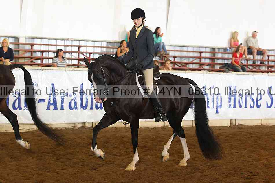 Proof 14yn_06310