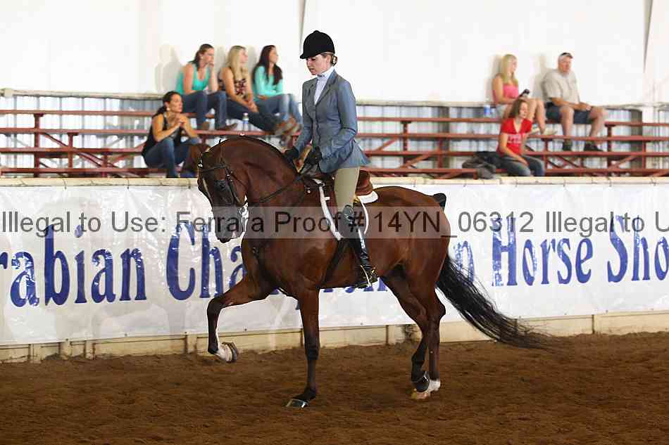 Proof 14yn_06312