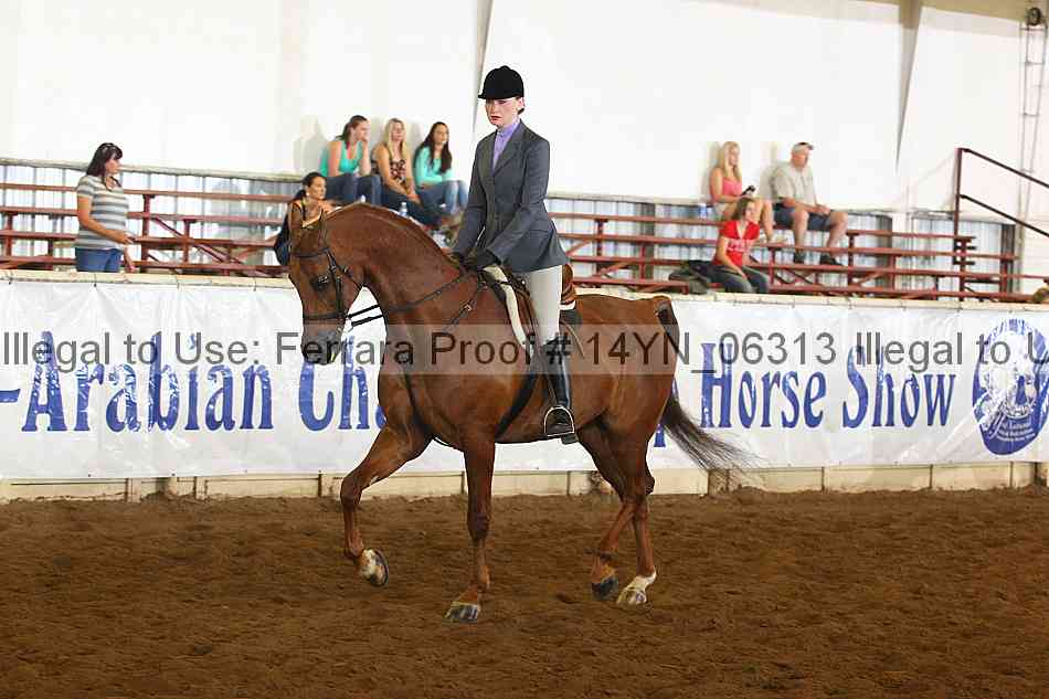 Proof 14yn_06313