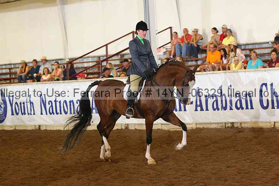Proof 14yn_06329