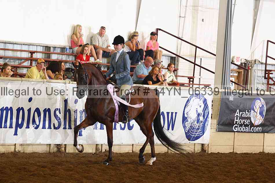 Proof 14yn_06339