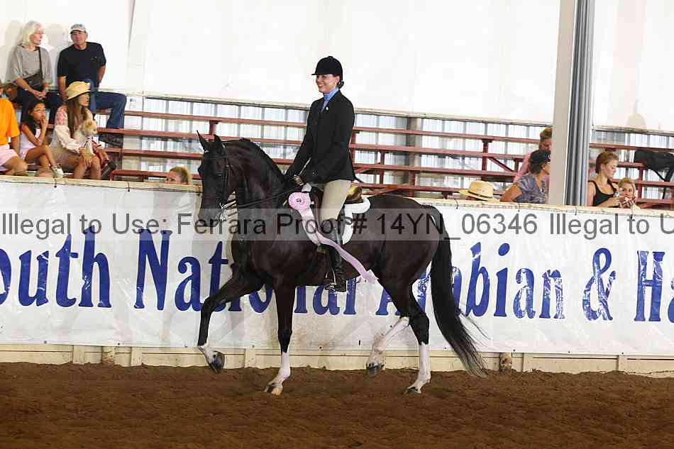 Proof 14yn_06346