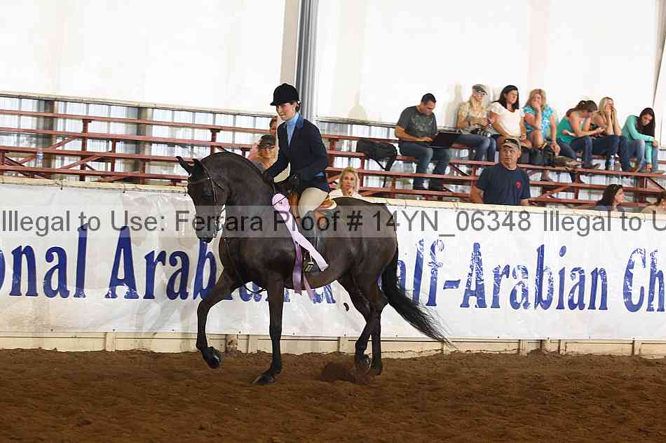 Proof 14yn_06348
