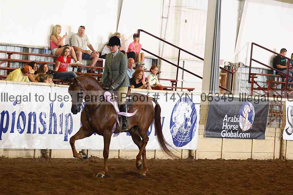 Proof 14yn_06349