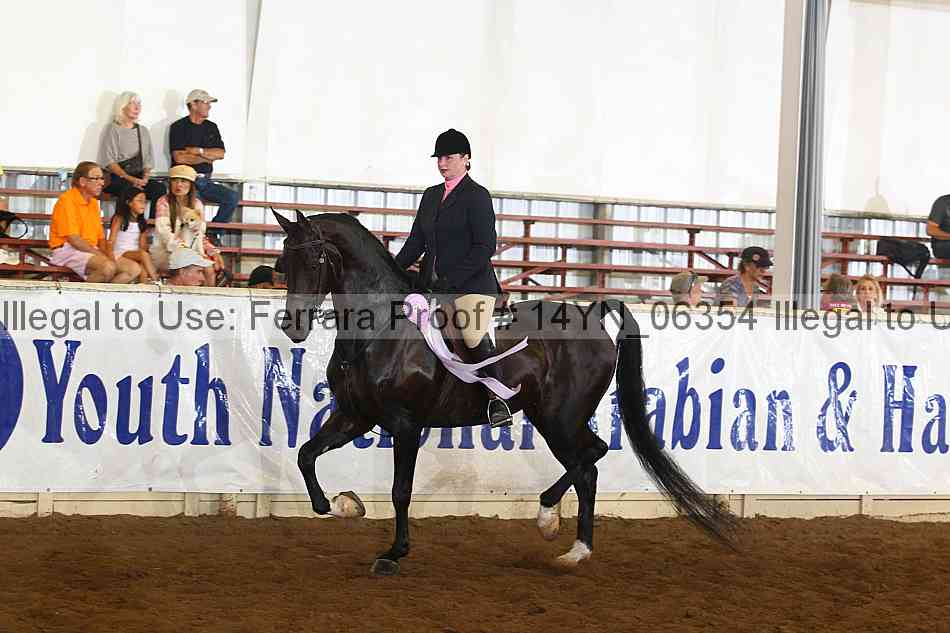 Proof 14yn_06354