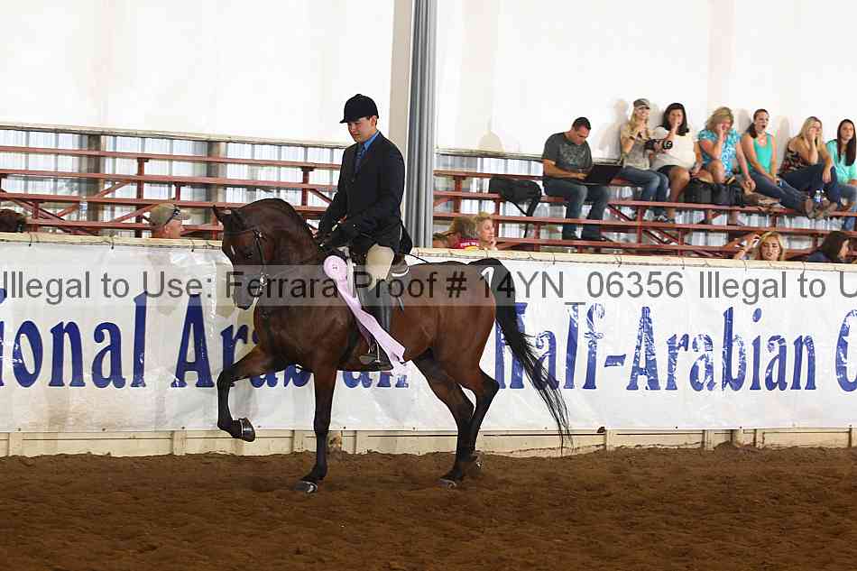 Proof 14yn_06356