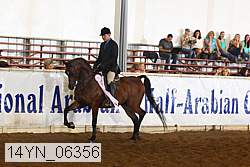 14yn_06356 proof