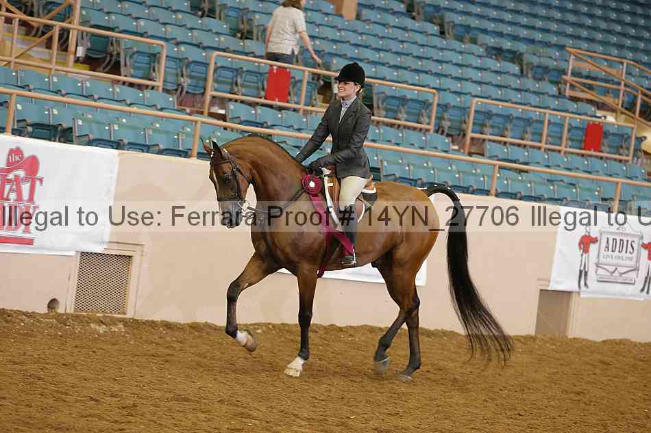 Proof 14yn_27706
