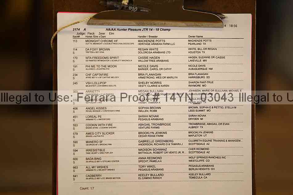 Proof 14yn_03043