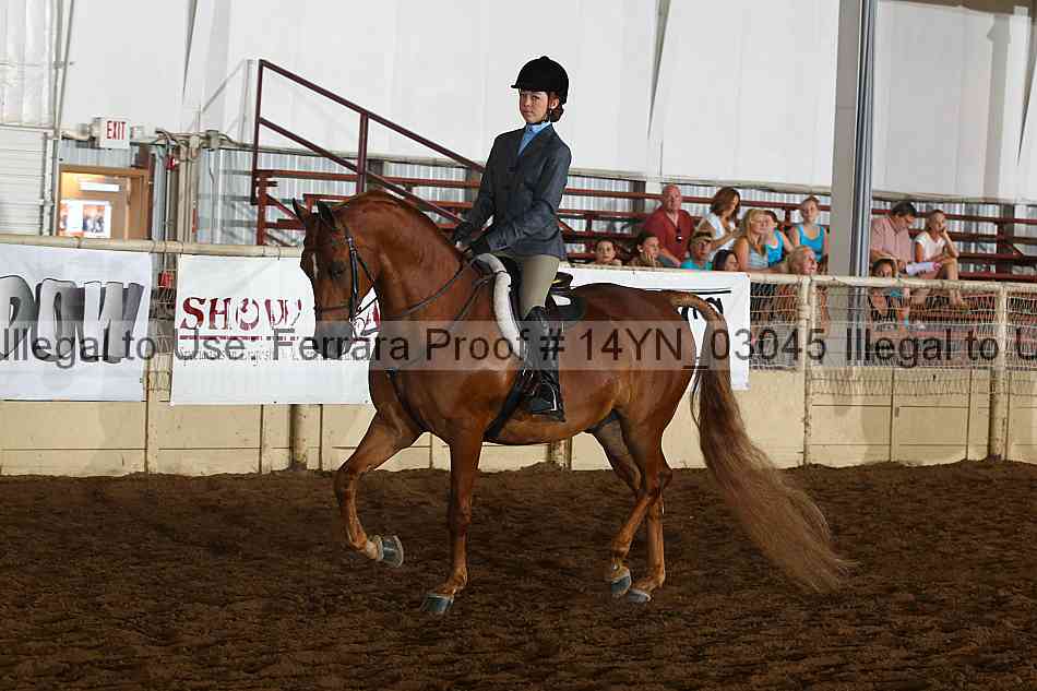 Proof 14yn_03045
