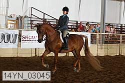 14yn_03045 proof