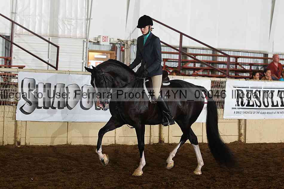 Proof 14yn_03046