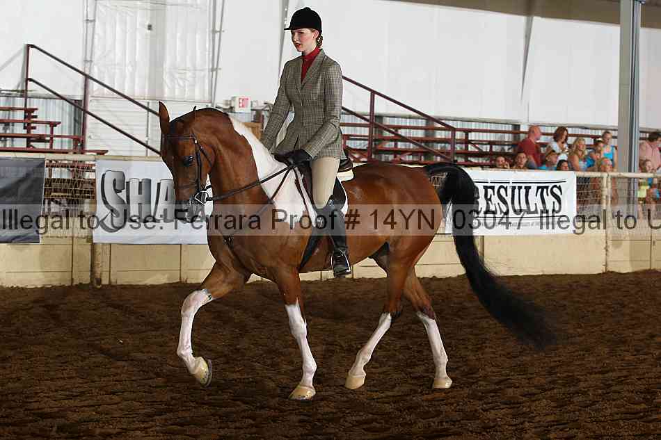 Proof 14yn_03047