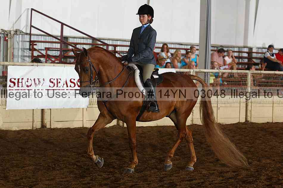 Proof 14yn_03048