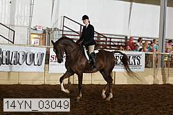 14yn_03049 proof