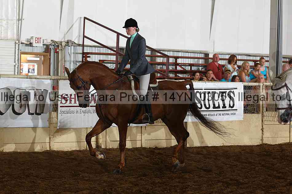 Proof 14yn_03051