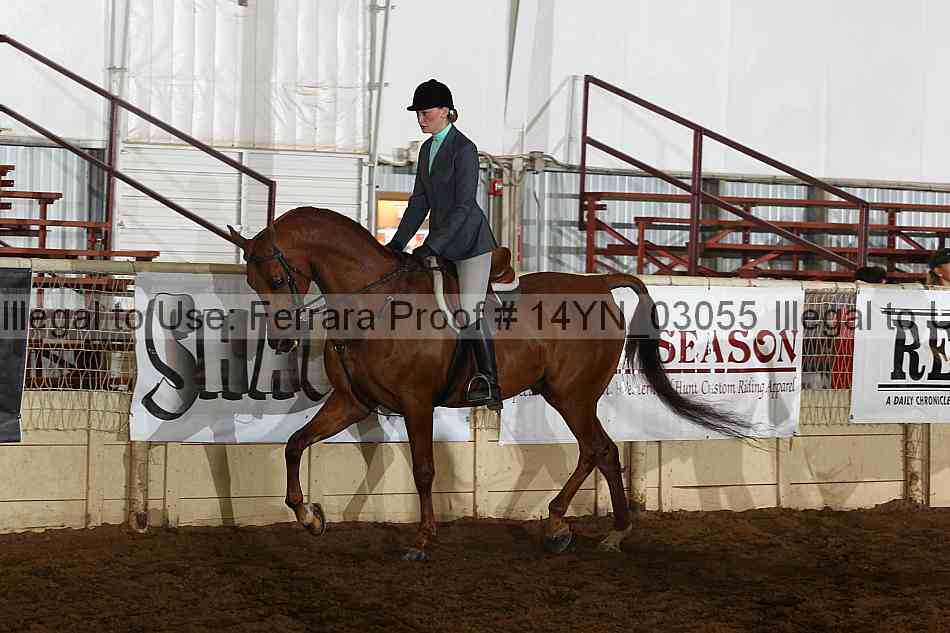 Proof 14yn_03055