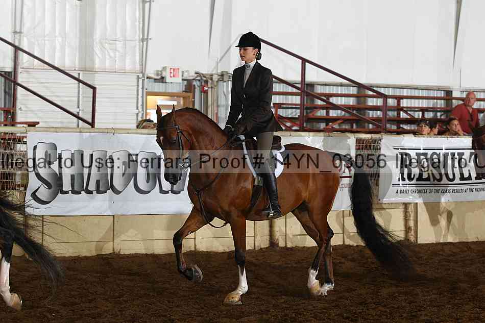 Proof 14yn_03056