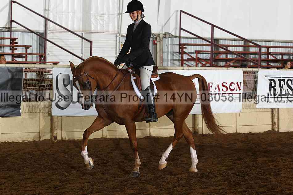 Proof 14yn_03058