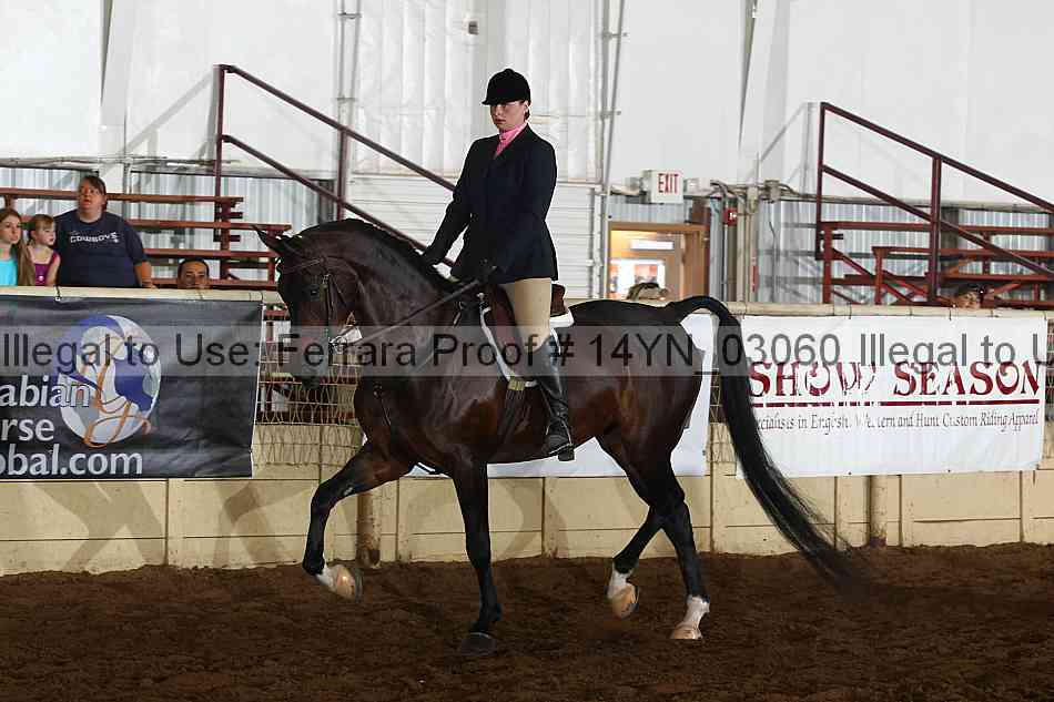 Proof 14yn_03060