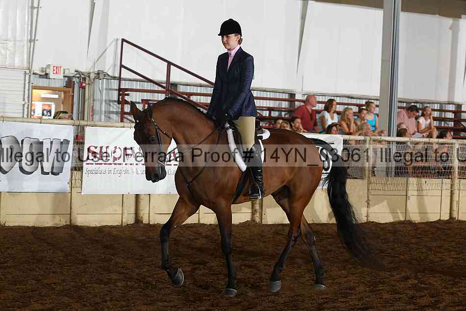 Proof 14yn_03061