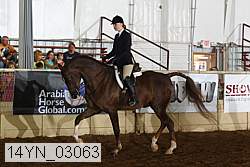 14yn_03063 proof