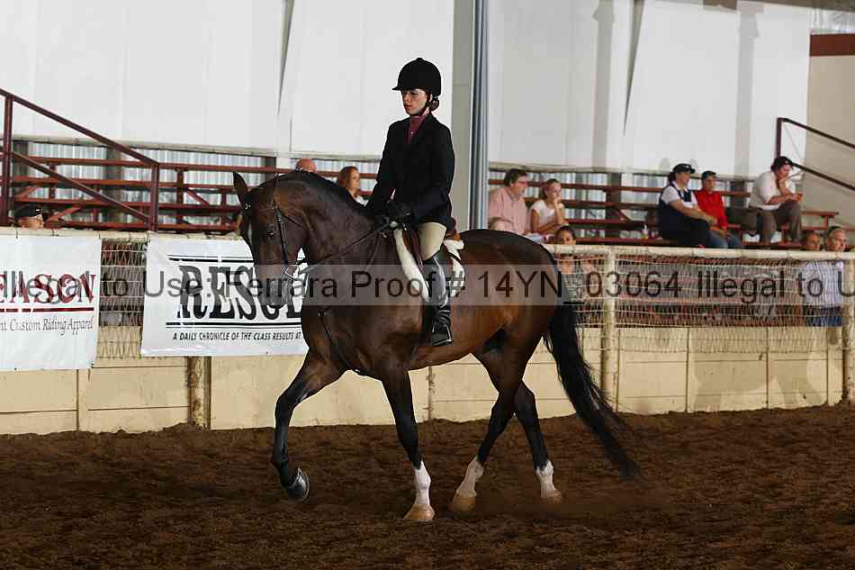 Proof 14yn_03064