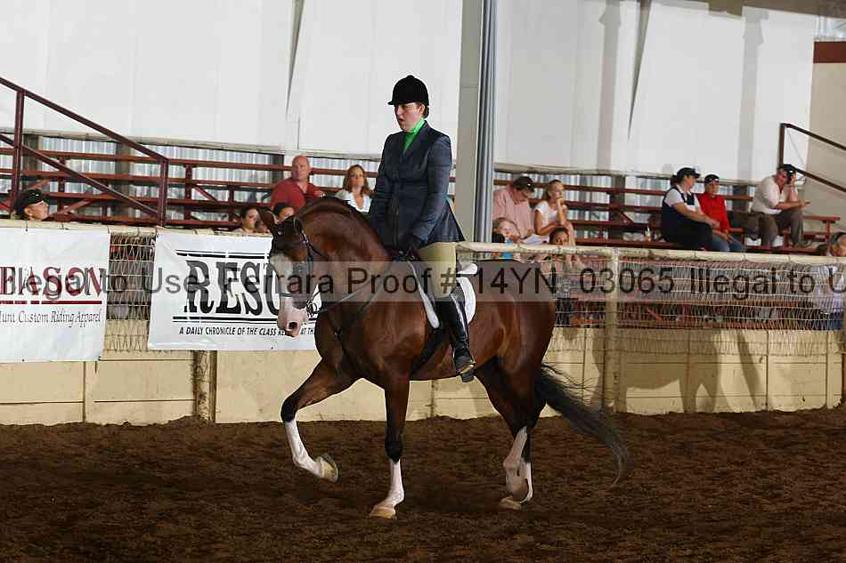 Proof 14yn_03065