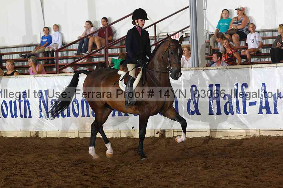 Proof 14yn_03066