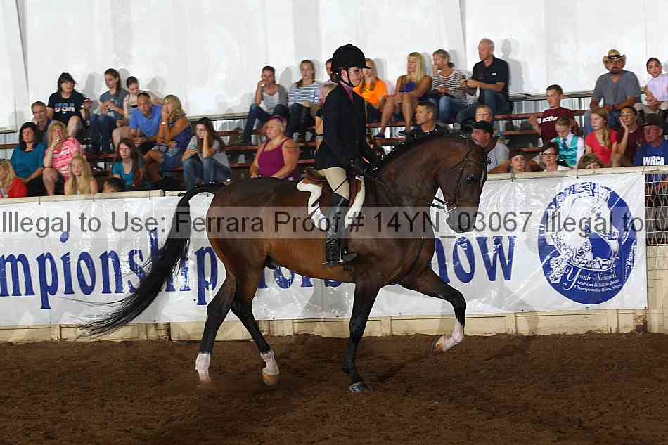 Proof 14yn_03067