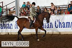 14yn_03068 proof