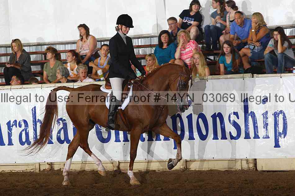 Proof 14yn_03069