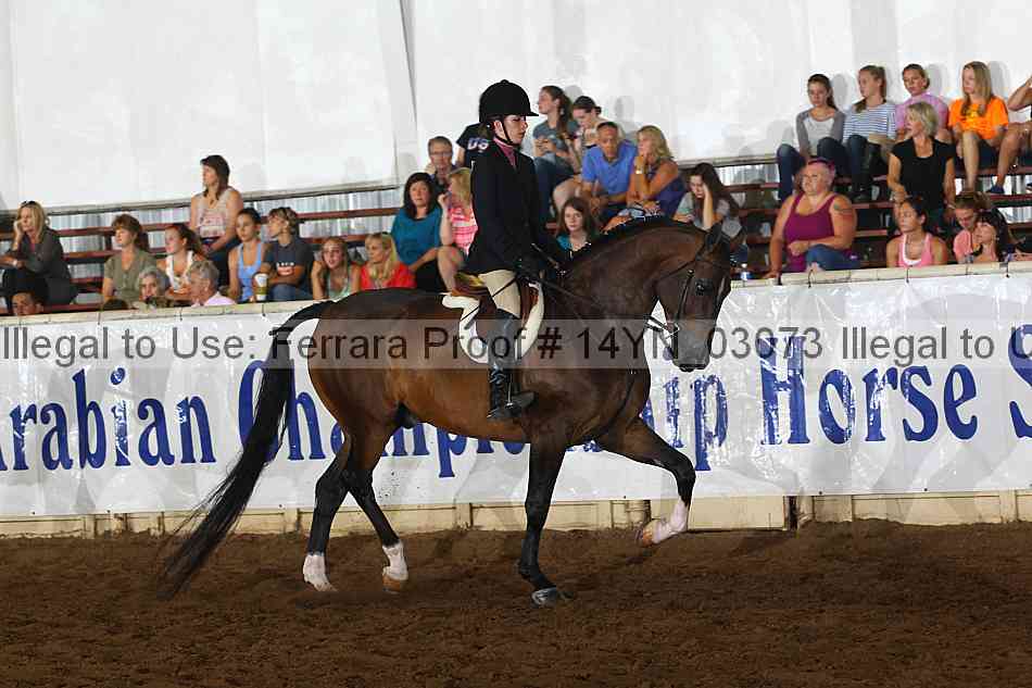 Proof 14yn_03073
