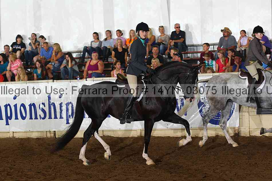 Proof 14yn_03075
