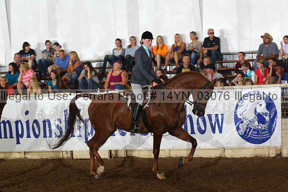 Proof 14yn_03076