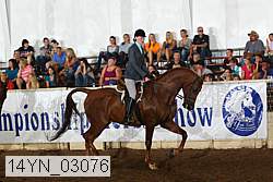 14yn_03076 proof