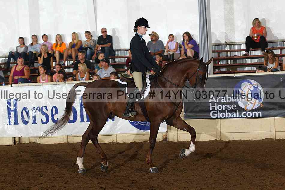Proof 14yn_03077