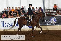 14yn_03077 proof